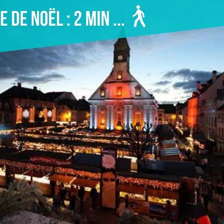 Le 15-Gregimmo-Appart'Hotel Montbéliard Esterno foto